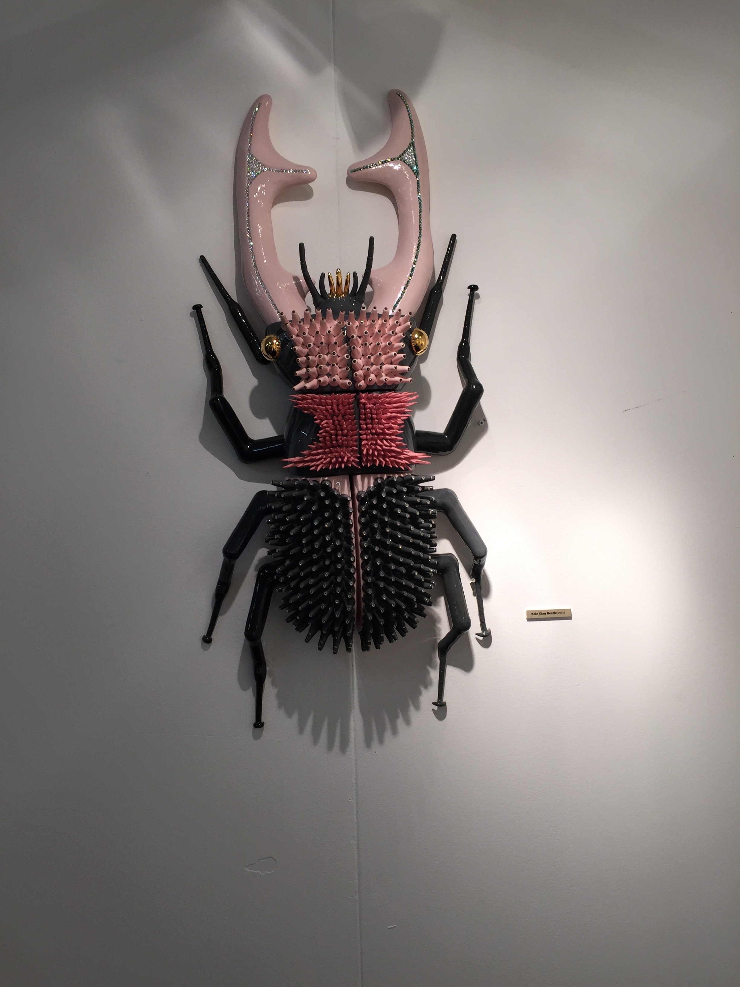 Male Stag beetle London Design Festival 2015