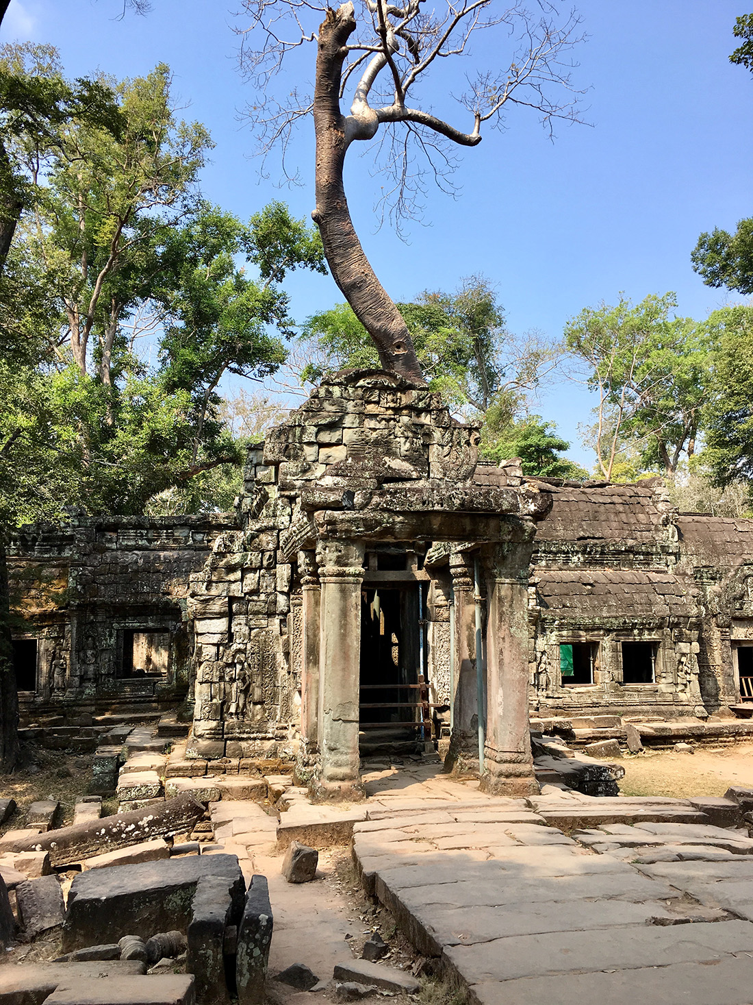 Designbloggarna_Verycamilla.Ta Prohm Angkor Wat 2017