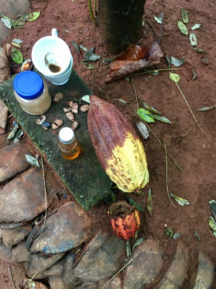 Kakaobean-SriLanka_Verycamilla.se