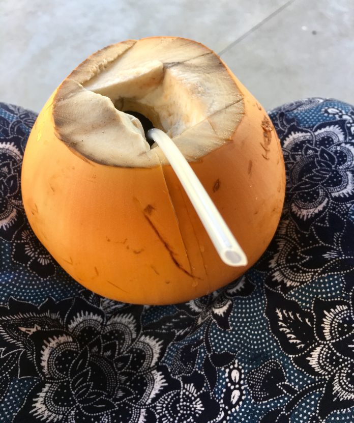 Kokosnot.SriLankaVerycamilla.se